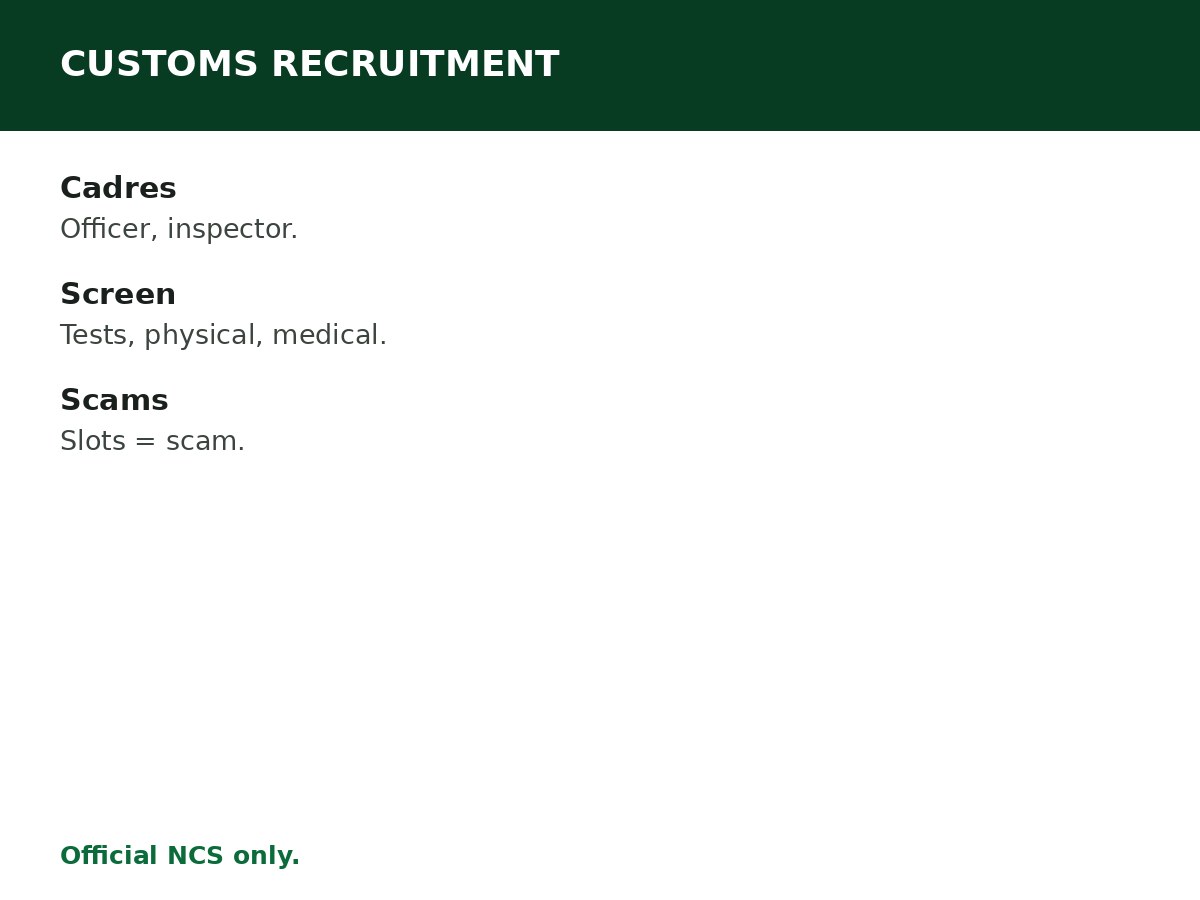 Customs Recruitment Guide process graphic