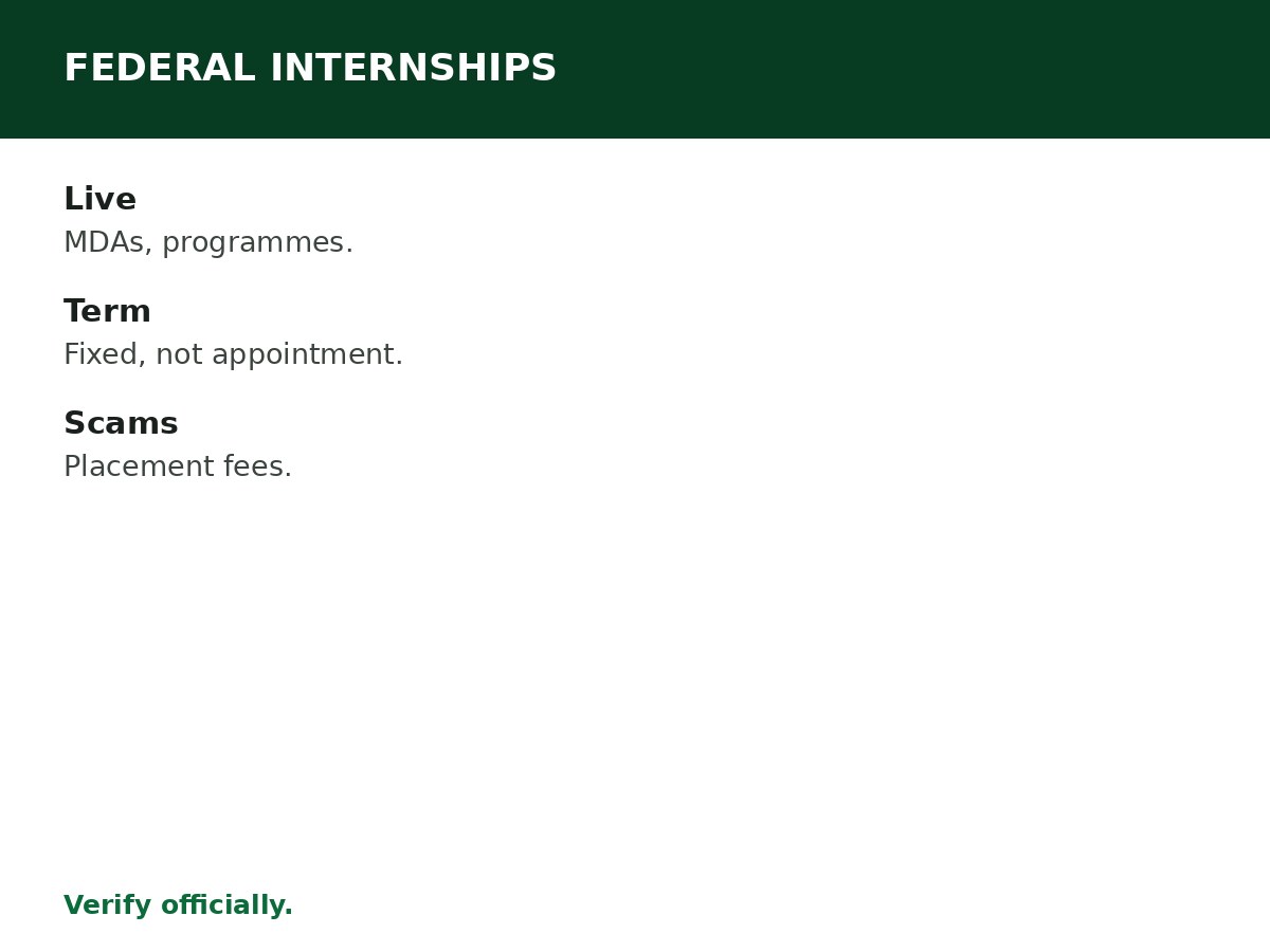Federal Government Internship Opportunities process graphic
