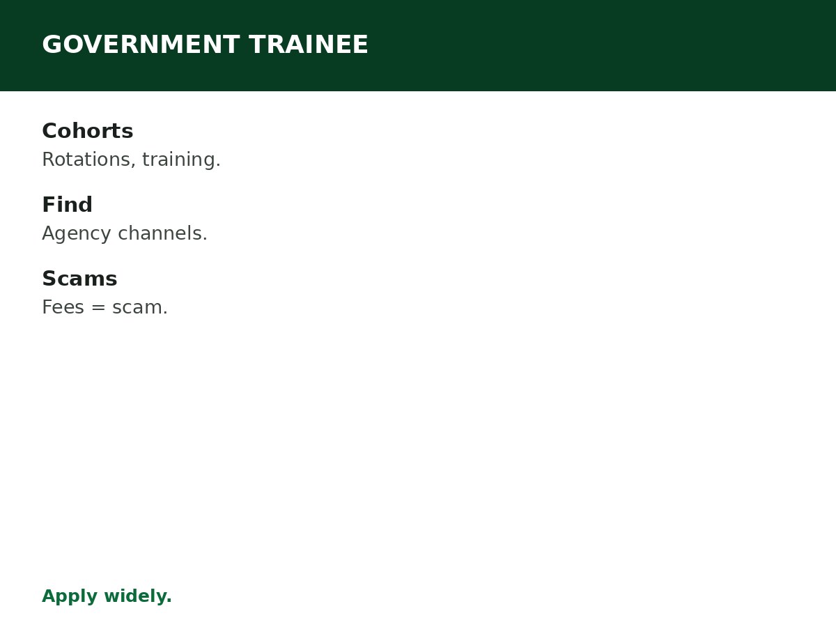Government Graduate Trainee Opportunities process graphic