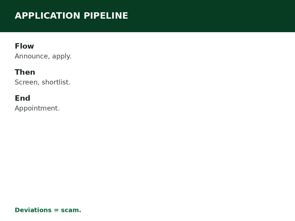 How Government Recruitment Applications Usually Work process graphic