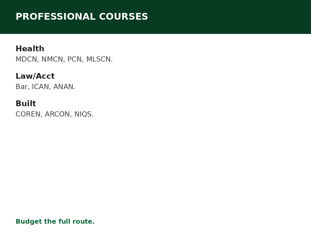 Professional Courses Worth Studying in Nigeria process graphic