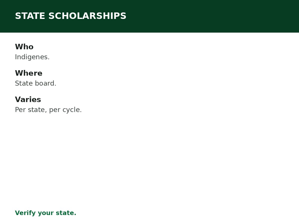 State Government Scholarships in Nigeria process graphic