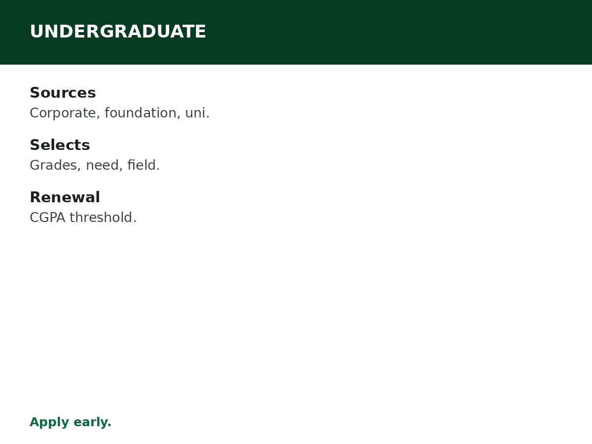 Undergraduate Scholarships for Nigerian Students process graphic